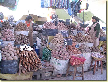 Peru, the home of the potato