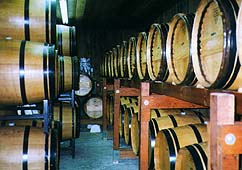 Rafanelli Barrel Room