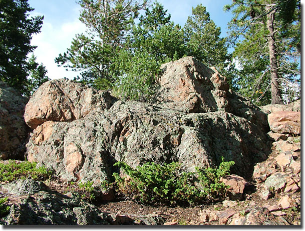 The highest point on the rock and pine island.